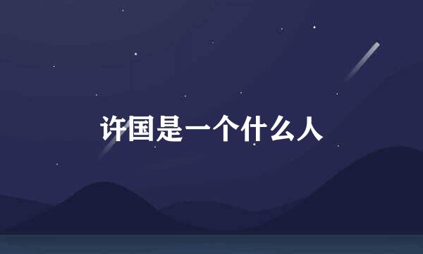许国是一个什么人