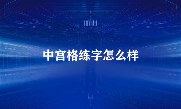 中宫格练字怎么样