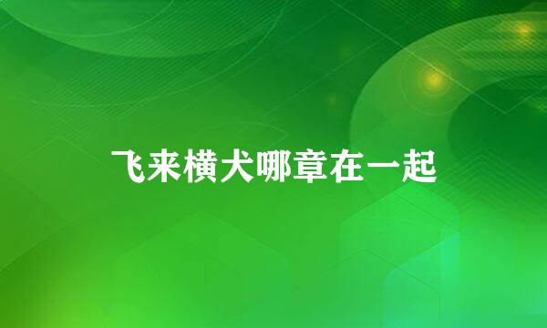 飞来横犬哪章在一起
