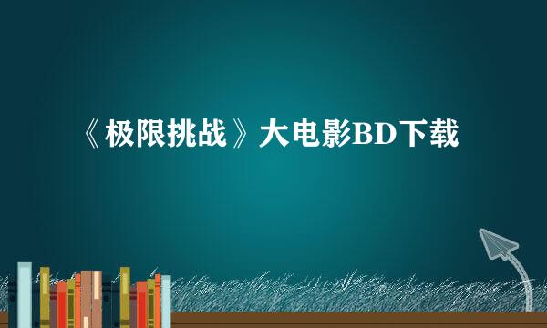 《极限挑战》大电影BD下载