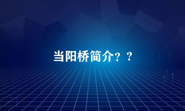 当阳桥简介？?