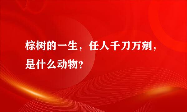 棕树的一生，任人千刀万剜，是什么动物？