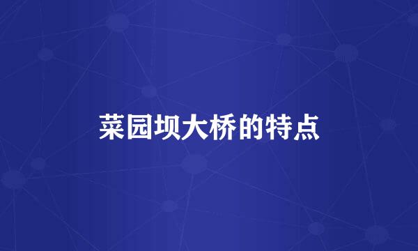 菜园坝大桥的特点