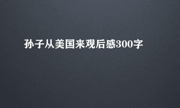 孙子从美国来观后感300字