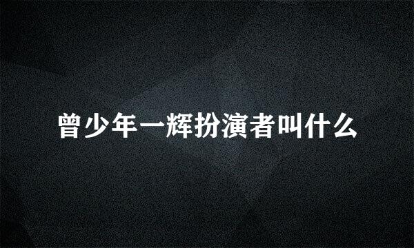曾少年一辉扮演者叫什么