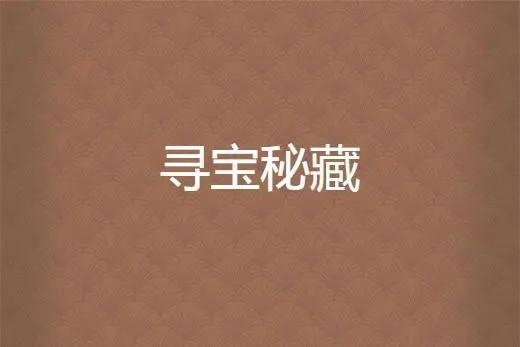 在美国寻宝捡漏十大小说是哪几本？