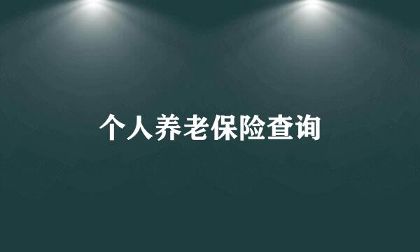 个人养老保险查询