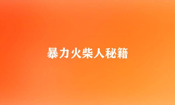 暴力火柴人秘籍