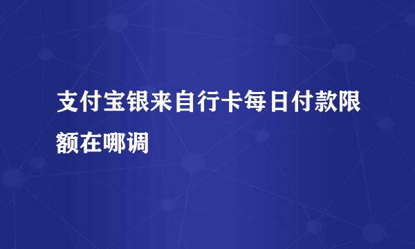 支付宝银来自行卡每日付款限额在哪调