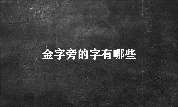 金字旁的字有哪些