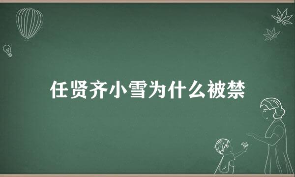 任贤齐小雪为什么被禁