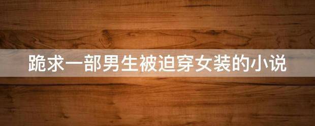 跪求一部男生被迫穿女装的小说