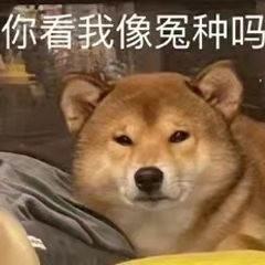 冤种是什么意来自思梗