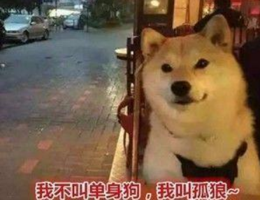 单身狗的英文是什么?