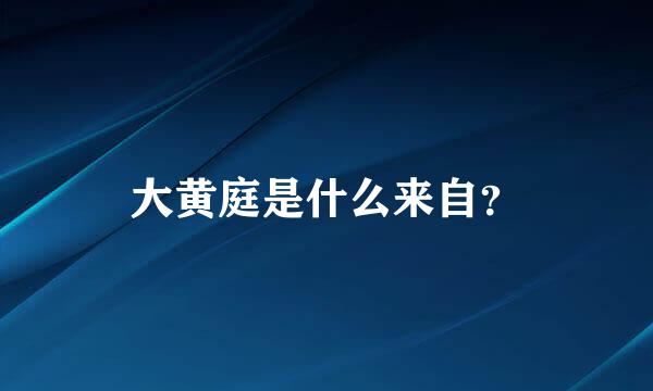 大黄庭是什么来自？