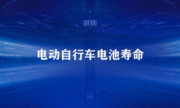 电动自行车电池寿命