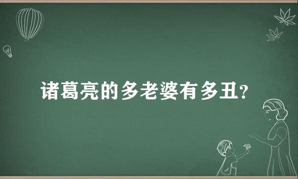 诸葛亮的多老婆有多丑？
