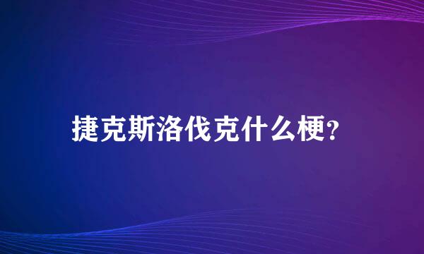 捷克斯洛伐克什么梗？