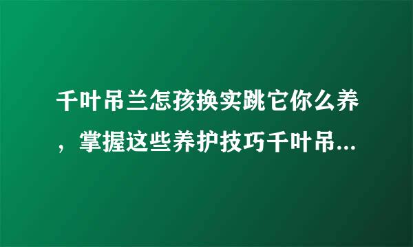 千叶吊兰怎孩换实跳它你么养，掌握这些养护技巧千叶吊兰爆盆速度快