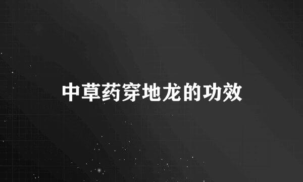 中草药穿地龙的功效