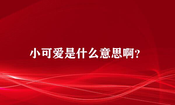 小可爱是什么意思啊？