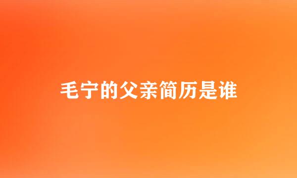 毛宁的父亲简历是谁