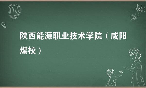 陕西能源职业技术学院（咸阳煤校）