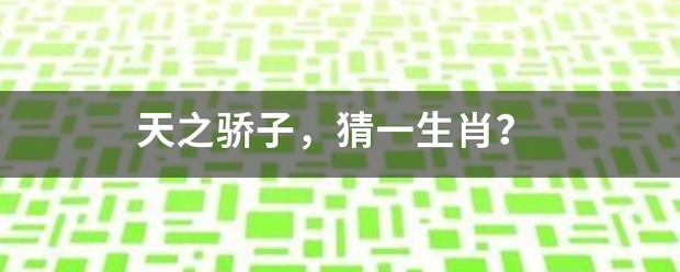 天之骄子，猜一生肖？