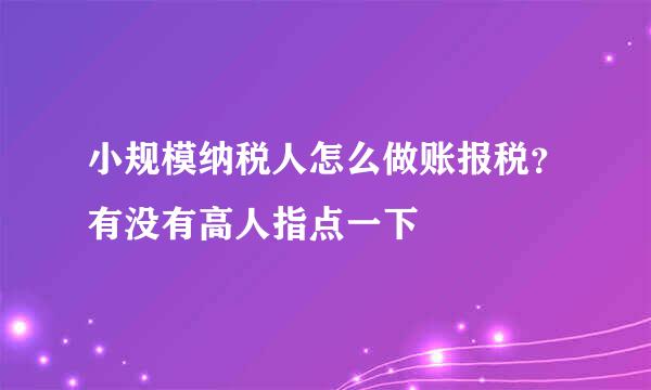 小规模纳税人怎么做账报税？有没有高人指点一下