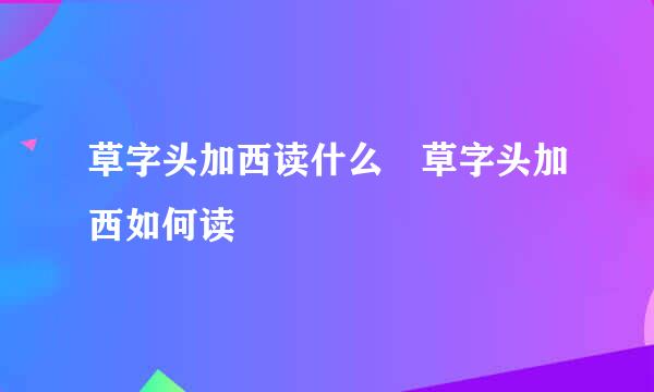 草字头加西读什么 草字头加西如何读