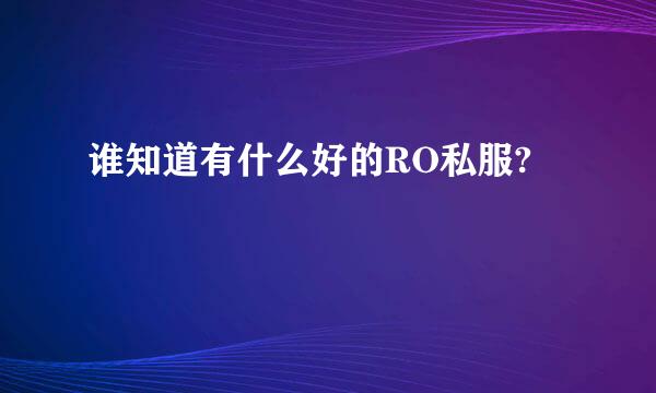 谁知道有什么好的RO私服?