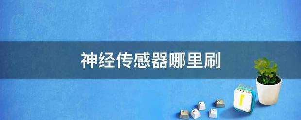 神经传感器哪里刷