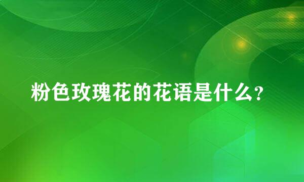 粉色玫瑰花的花语是什么？