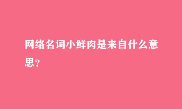 网络名词小鲜肉是来自什么意思？