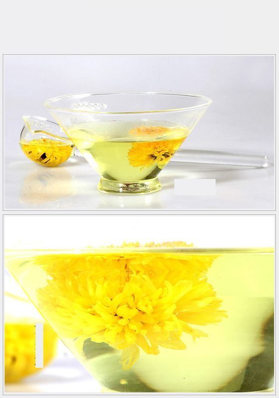 金丝皇菊有哪些功效？