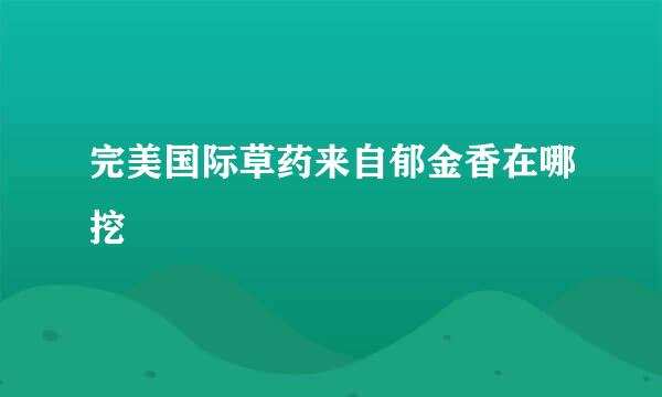 完美国际草药来自郁金香在哪挖