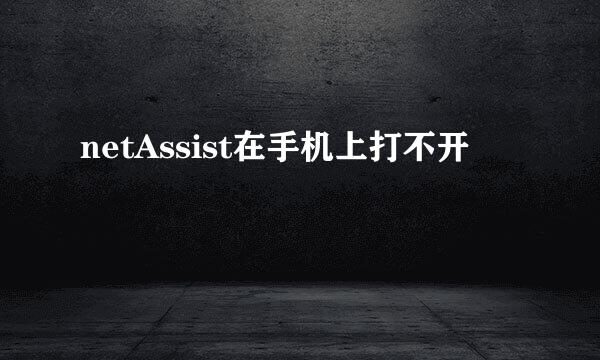 netAssist在手机上打不开
