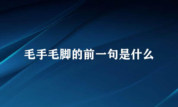 毛手毛脚的前一句是什么