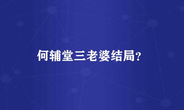 何辅堂三老婆结局？