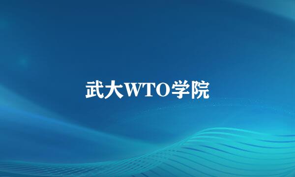 武大WTO学院