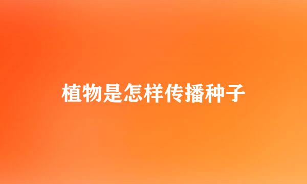 植物是怎样传播种子