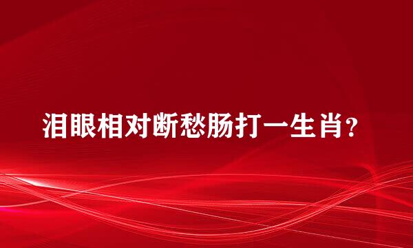 泪眼相对断愁肠打一生肖？