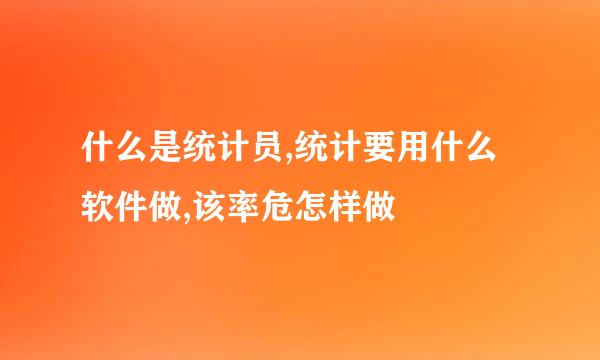 什么是统计员,统计要用什么软件做,该率危怎样做