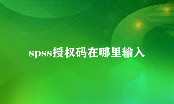 spss授权码在哪里输入