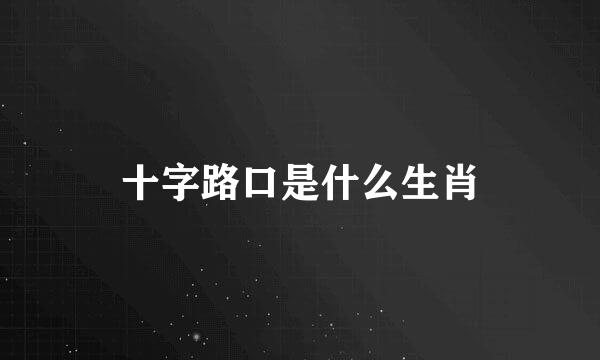 十字路口是什么生肖