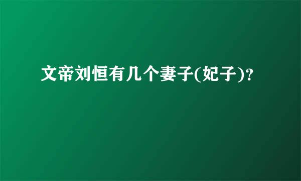 文帝刘恒有几个妻子(妃子)？