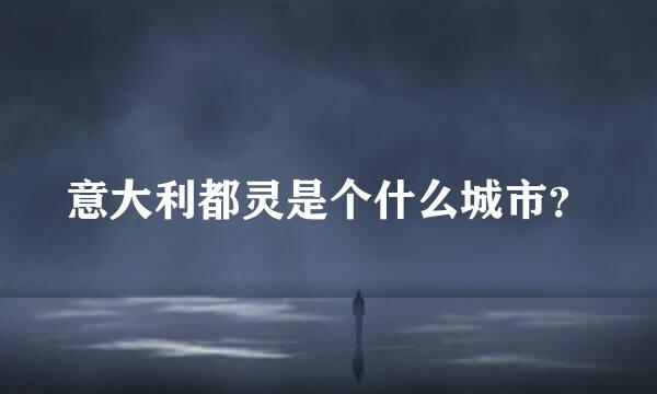 意大利都灵是个什么城市？