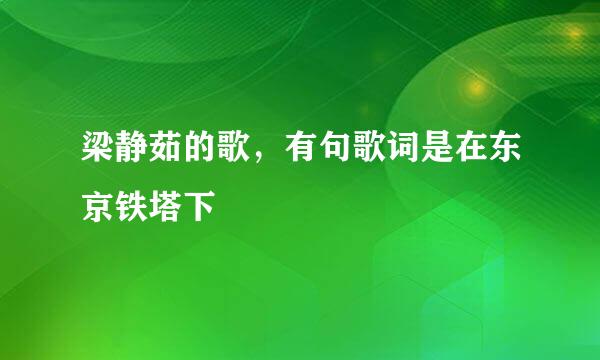 梁静茹的歌，有句歌词是在东京铁塔下