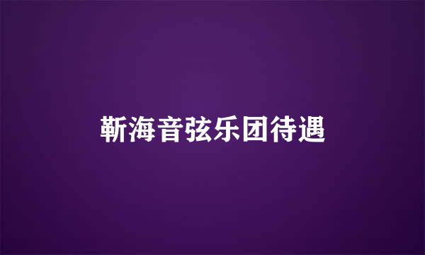 靳海音弦乐团待遇