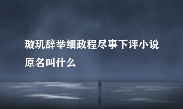 璇玑辞举细政程尽事下评小说原名叫什么